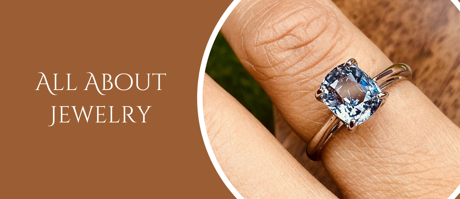 All You Want To Know About